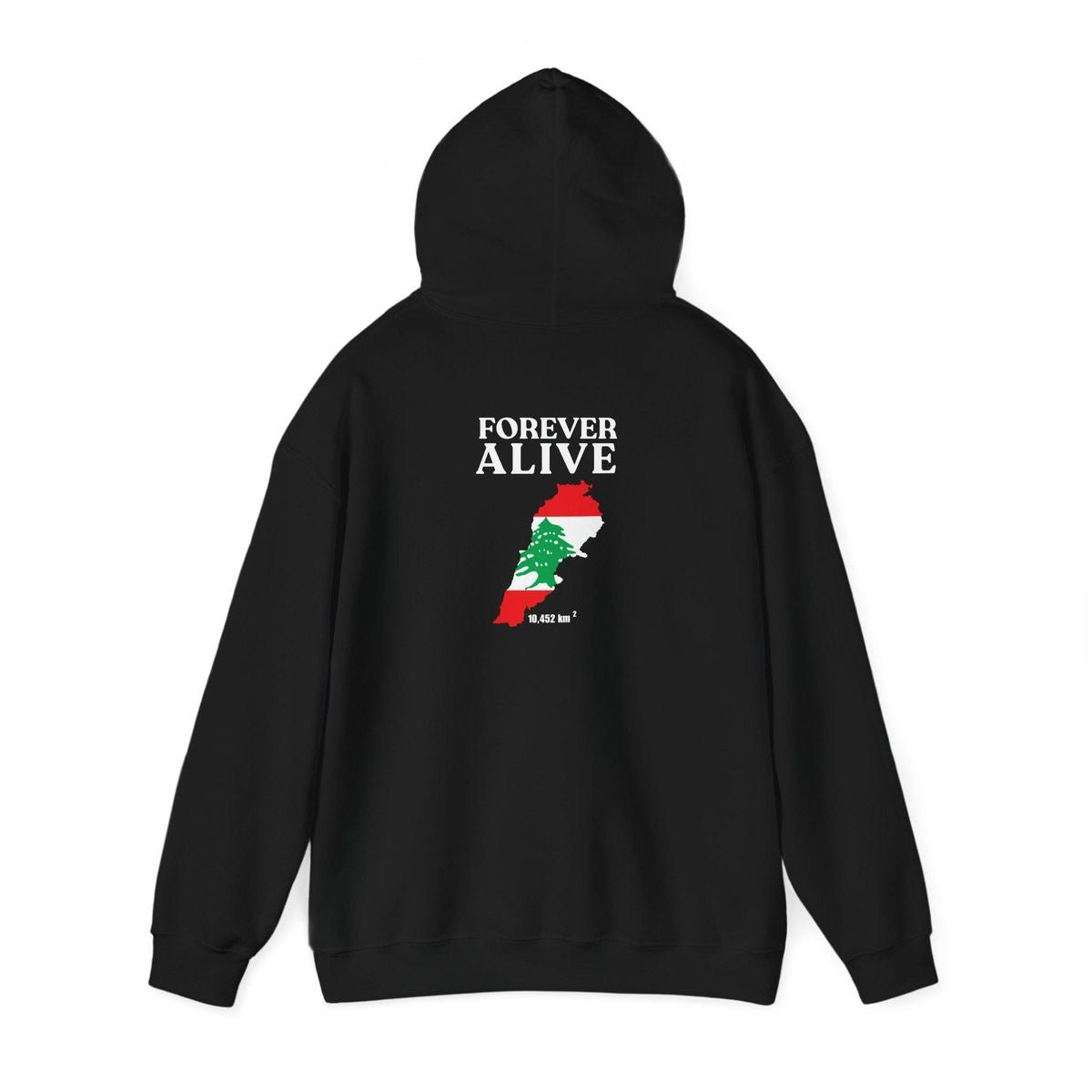 Lebanon Outline Hoodie Oversized