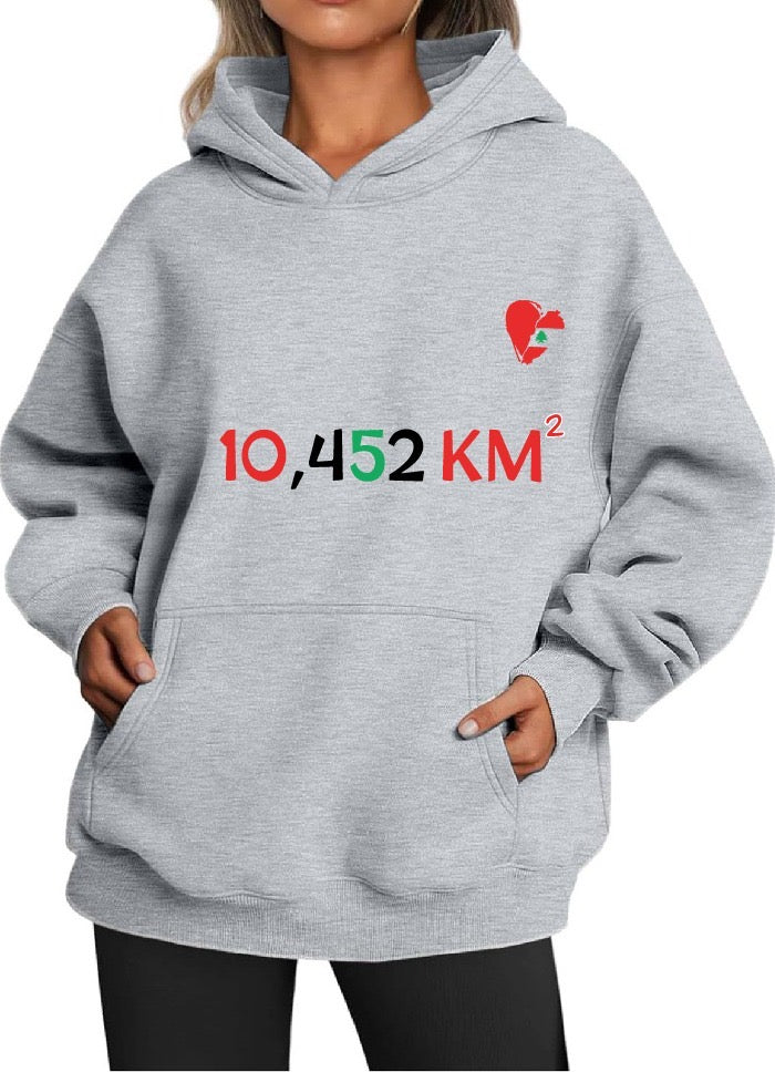 Lebanon Hoodie | Hoodie | Lebanon | Stand in solidarity | Beirut