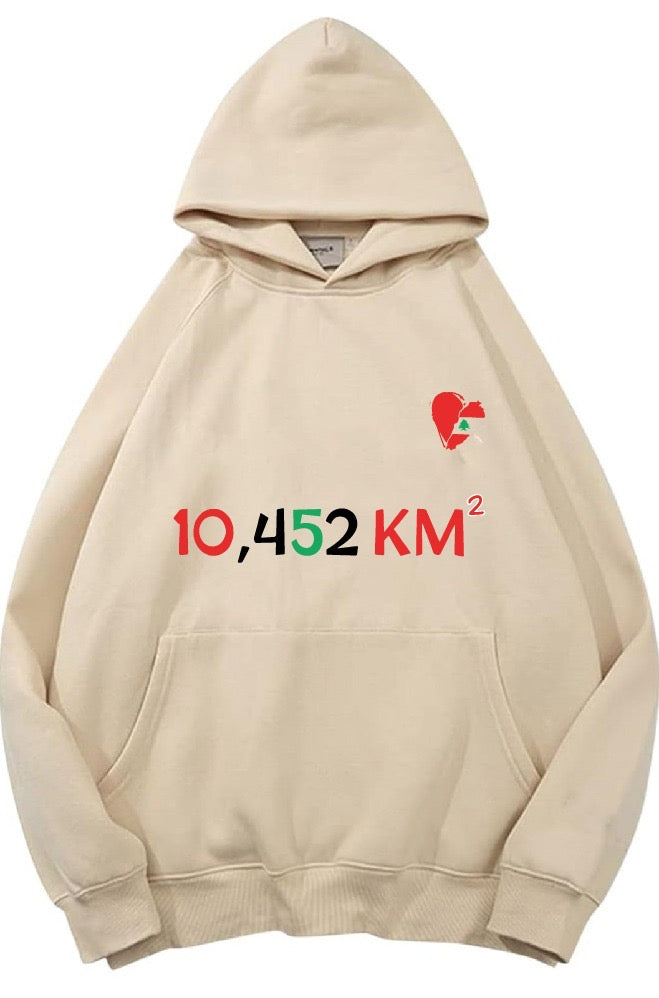 Lebanon Hoodie | Hoodie | Lebanon | Stand in solidarity | Beirut