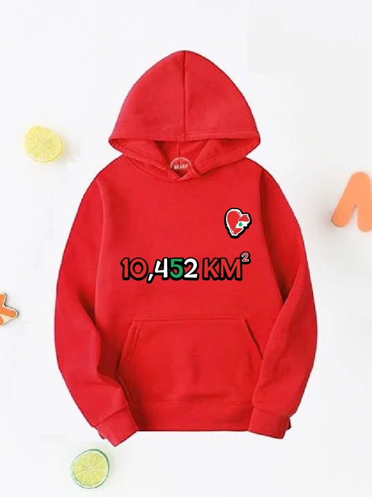 Lebanon Hoodie | Hoodie | Lebanon | Stand in solidarity | Beirut