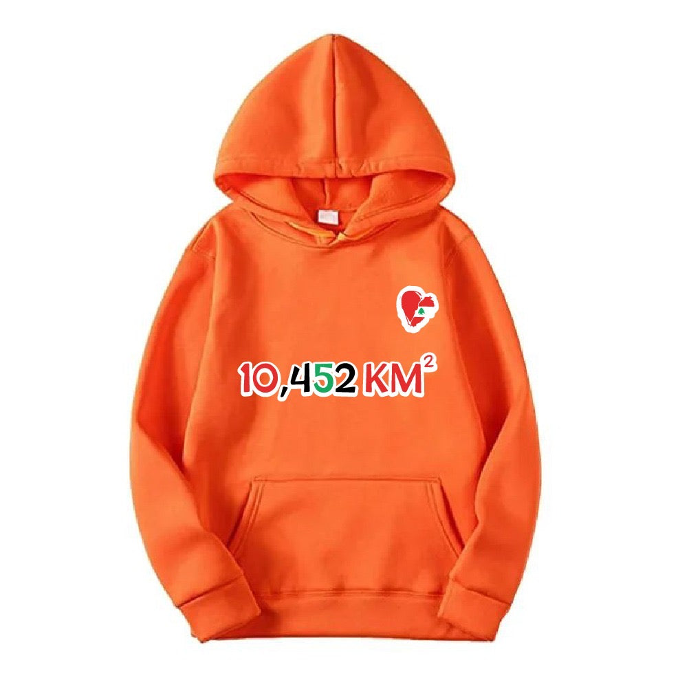 Lebanon Hoodie | Hoodie | Lebanon | Stand in solidarity | Beirut