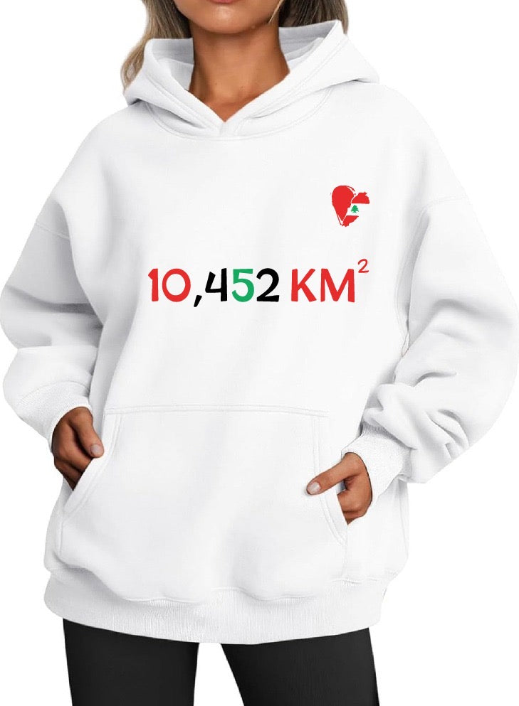 Lebanon Hoodie | Hoodie | Lebanon | Stand in solidarity | Beirut