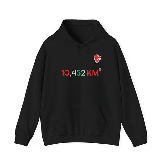 Lebanon Hoodie | Hoodie | Lebanon | Stand in solidarity | Beirut