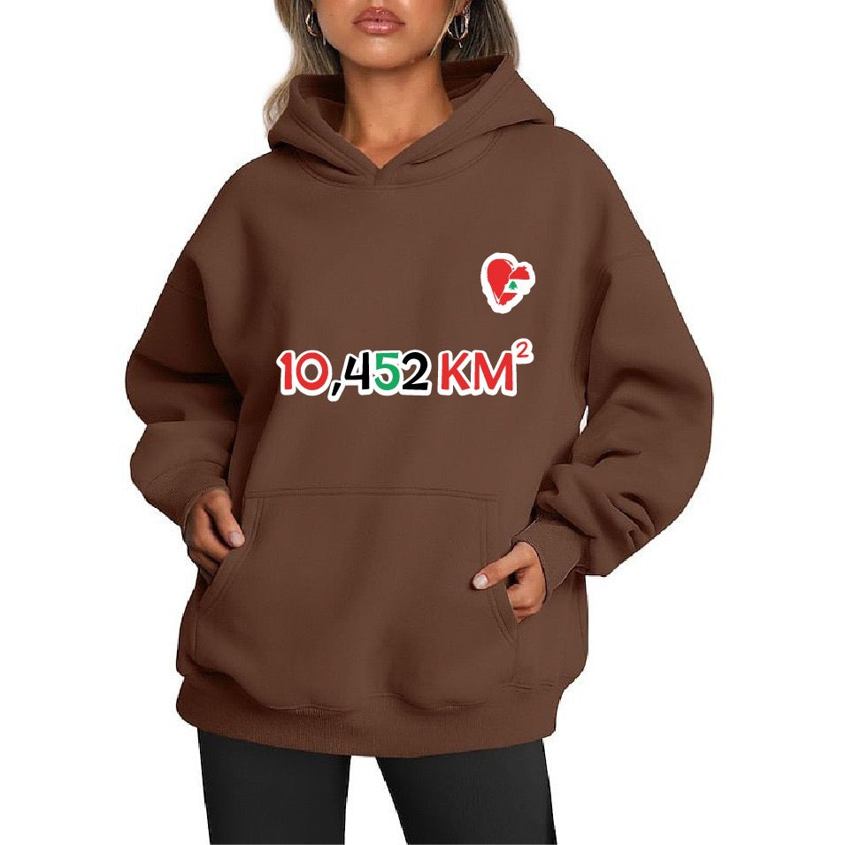 Lebanon Hoodie | Hoodie | Lebanon | Stand in solidarity | Beirut