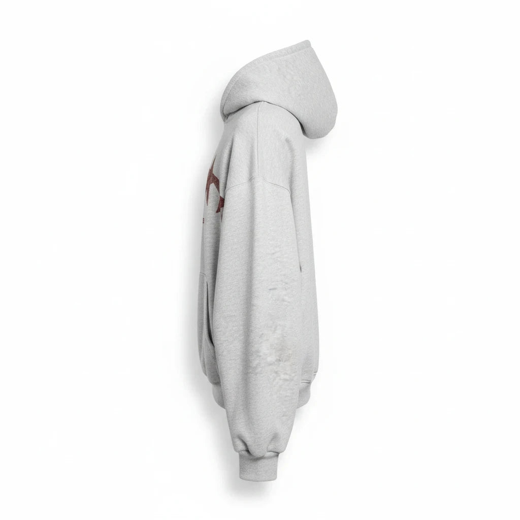 Hoodies Liban grey oversized cotton hoodie with fleeced interior and side graphic detail